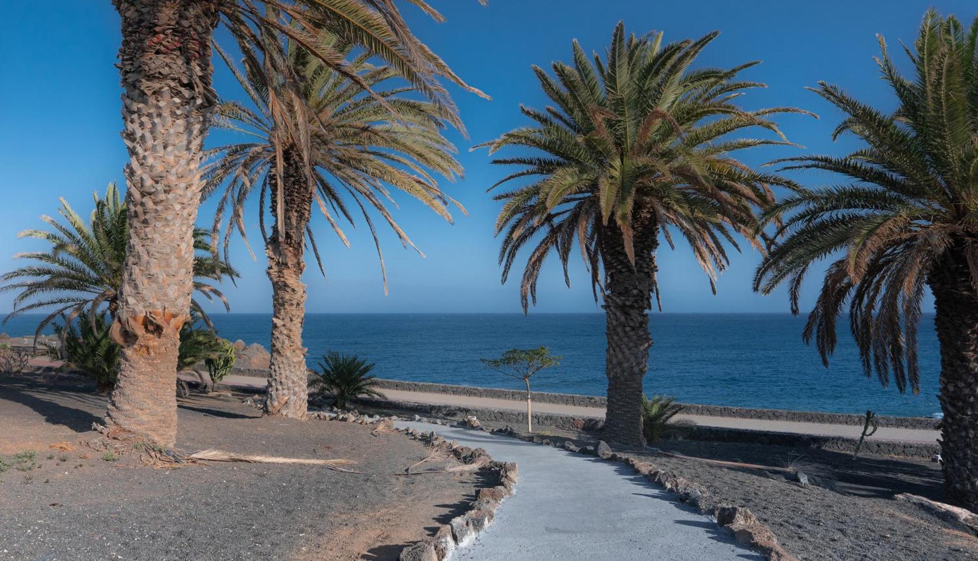 Luxury Apartamento Luz De Mar Complejo Playa Roca Costa Teguise Eksteriør billede