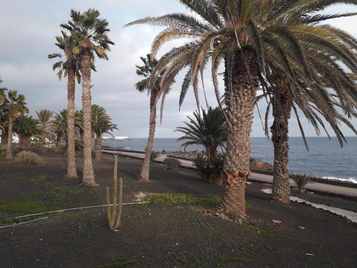Luxury Apartamento Luz De Mar Complejo Playa Roca Costa Teguise Eksteriør billede